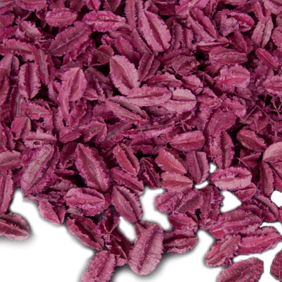 Arjun Mini Dyed Burgundy 4 oz.