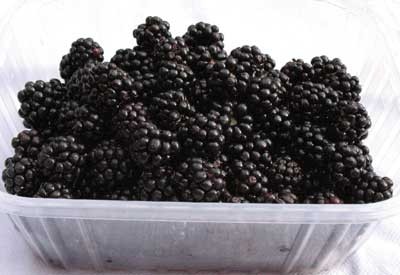 (image for) Blackberry Fragrance Oil 1 oz.