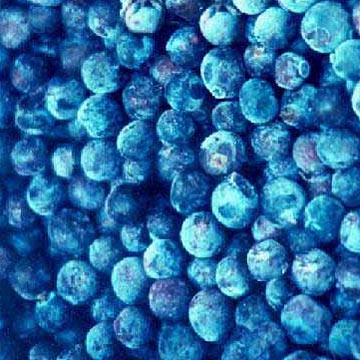 (image for) Blueberry Fragrance Oil