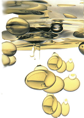Therapeutic Massage Oils