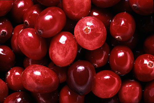 (image for) Cranberry Fragrance Oil
