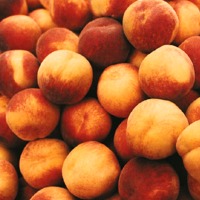 (image for) Fresh Peach Fragrance Oil 1 oz.