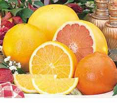 (image for) Pink Grapefruit Essential Oil