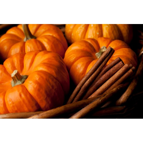 (image for) Pumpkin Spice Fragrance Oil - Click Image to Close