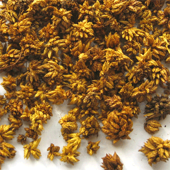 Star Flowers Yellow 4 oz.