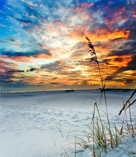 (image for) After Glow Fragrance Oil