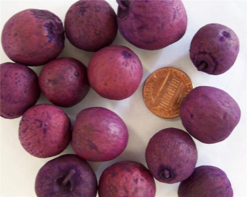 (image for) Apple Fragrance Oil