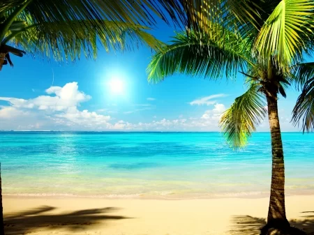 (image for) Beach Bound Fragrance Oil