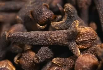 (image for) Clove Essential Oil