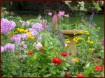 (image for) 4 oz. Variety Pack - Garden Party Fragrance Oils (3)