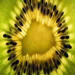 (image for) Kiwi Fragrance Oil 1 oz.