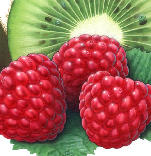 (image for) Kiwi Fragrance Oil 1 oz.