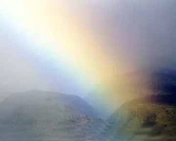 (image for) Maui Mist Fragrance Oil