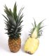 (image for) Pineapple Fragrance Oil