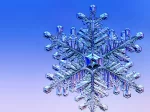 (image for) Snowflake Fragrance Oil
