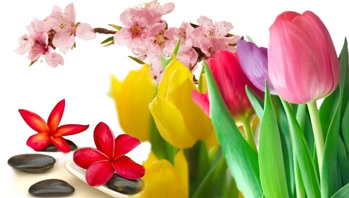 (image for) 1 Oz. Fragrance Oil Sampler (10 Oils) FLORALS