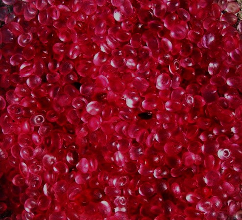 Mahogany Coconut - Scented Aroma Beads – Aroma Bead Depot