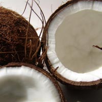 (image for) Coconut Fragrance Oil