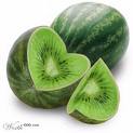 (image for) Kiwi Melon Fragrance Oil 1 oz.